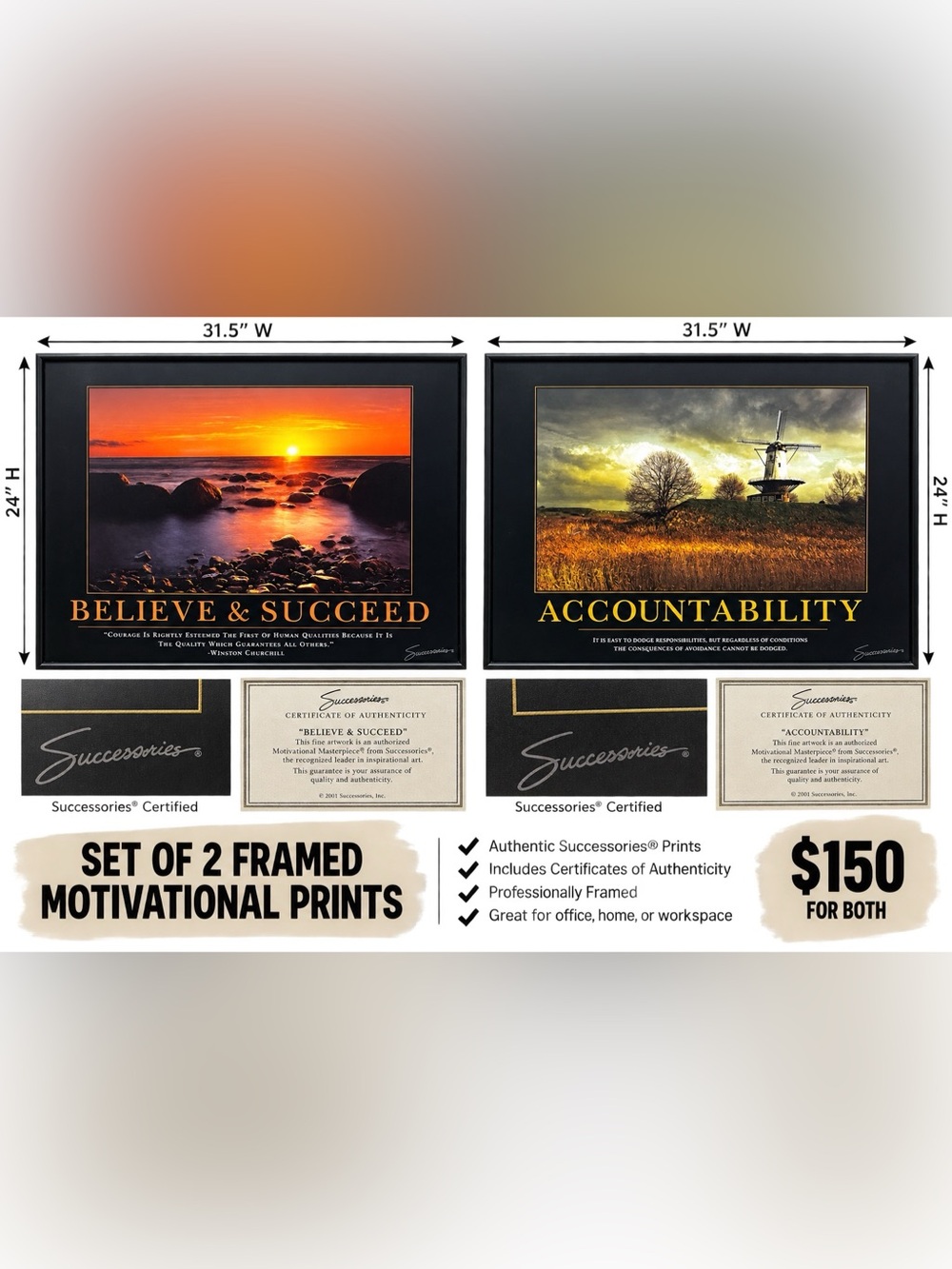 Successories motivational Office frames